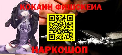 крисы Камышлов