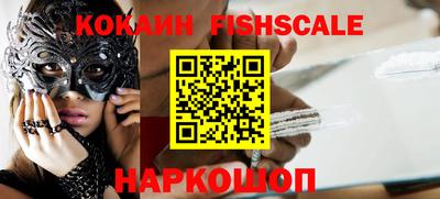 крисы Камышлов