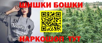 крисы Камышлов