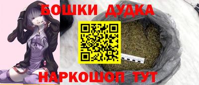 крисы Камышлов