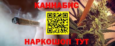 крисы Камышлов