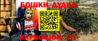 амф Кандалакша
