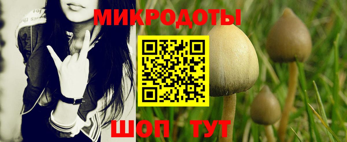 Псилоцибиновые грибы MAGIC MUSHROOMS Кропоткин